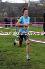 Mens under-17s North Eastern Cross Country Chanpionships. Photo: David T. Hewitson/Sports for All Pics